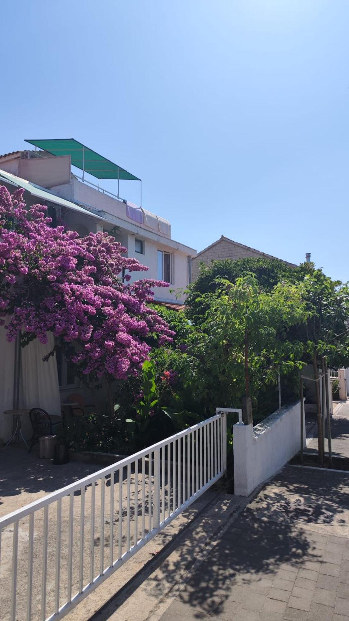 Apartments Suri Vodice Exterior foto